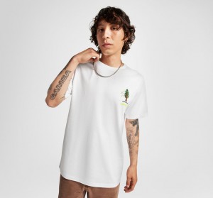 Converse All Star Tree T-shirt Hvide | 40176OIZD