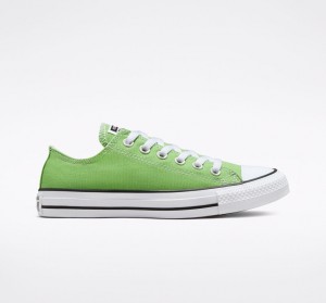 Converse Chuck Taylor All Star Seasonal Color Virtual Matcha | 43286CIMJ