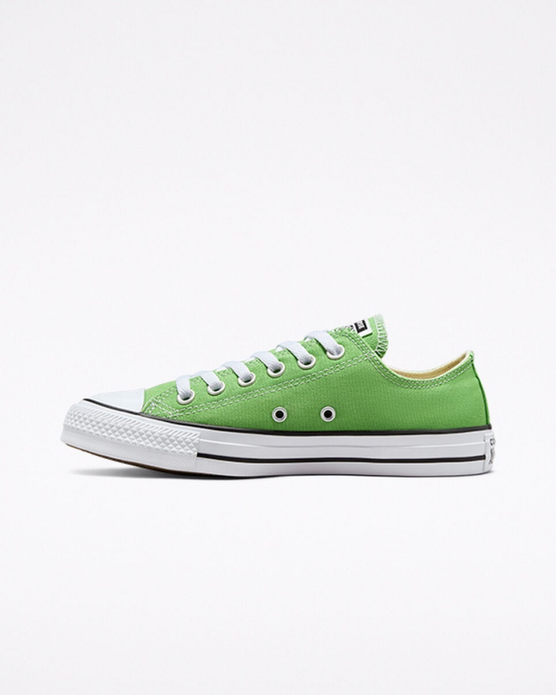 Converse Chuck Taylor All Star Seasonal Color Virtual Matcha | 46138SZDL