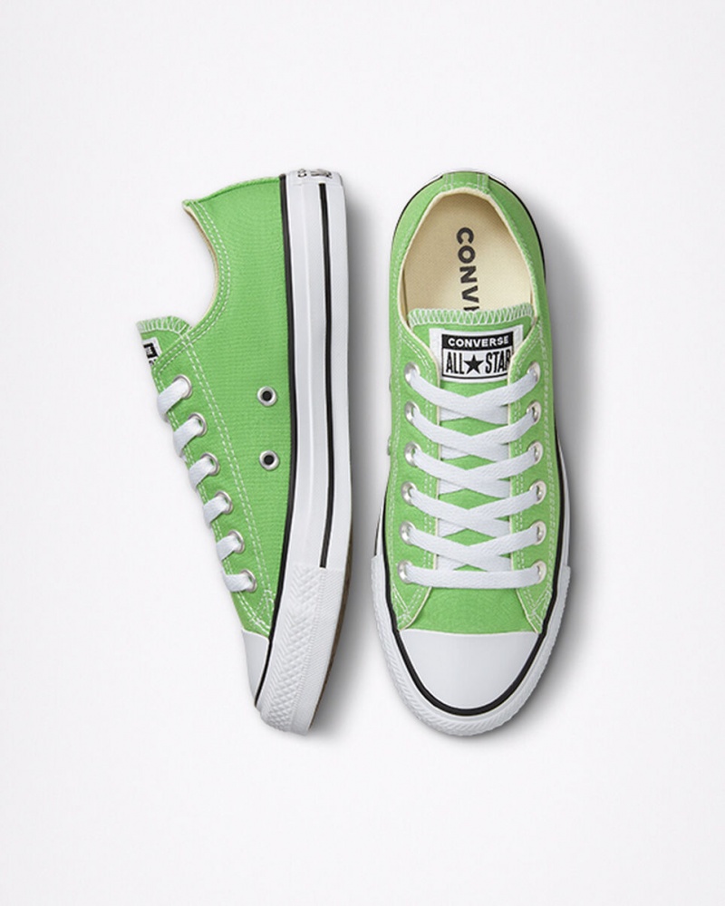 Converse Chuck Taylor All Star Seasonal Color Virtual Matcha | 46138SZDL