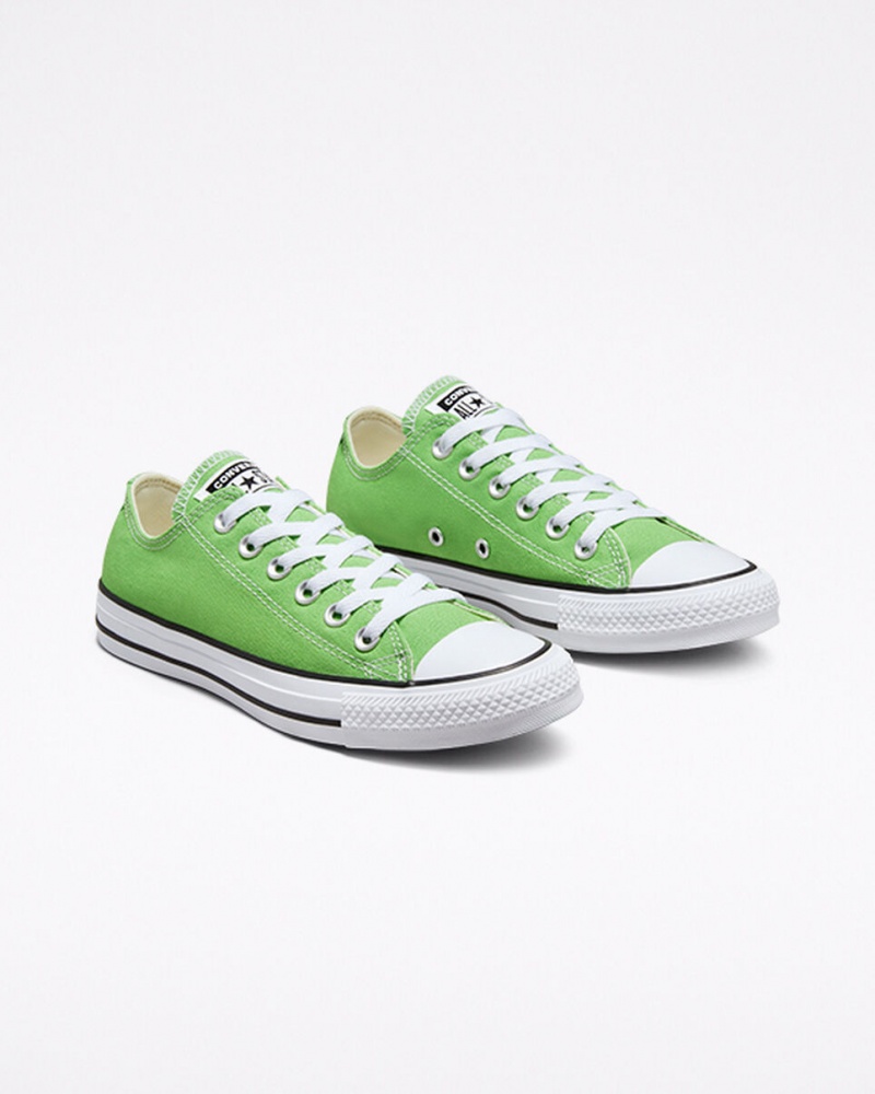 Converse Chuck Taylor All Star Seasonal Color Virtual Matcha | 46138SZDL