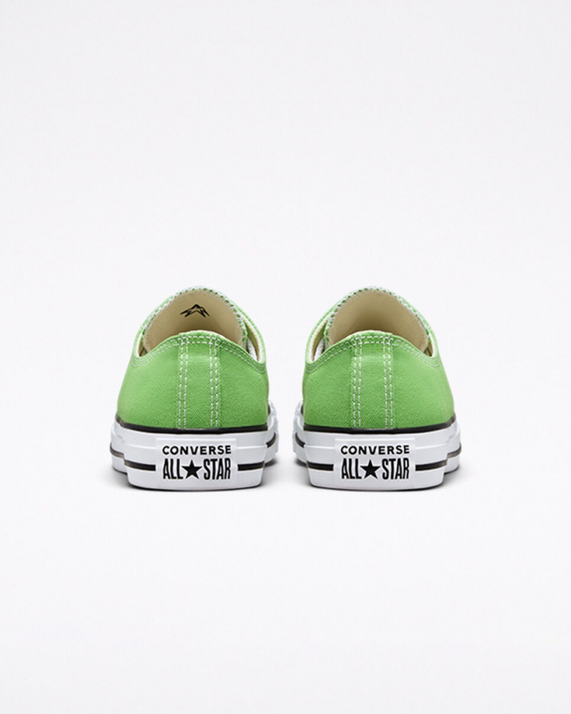 Converse Chuck Taylor All Star Seasonal Color Virtual Matcha | 46138SZDL