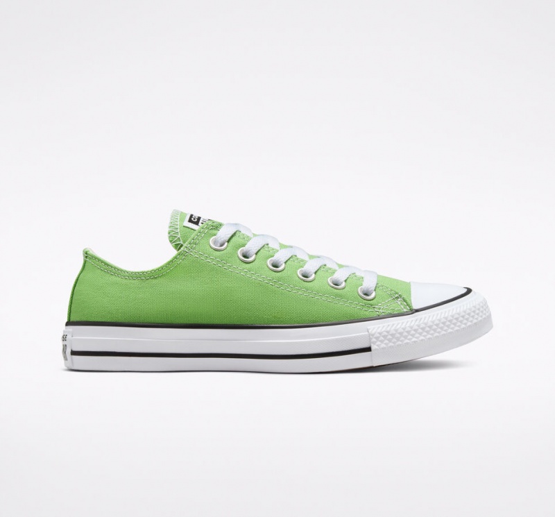 Converse Chuck Taylor All Star Seasonal Color Virtual Matcha | 46138SZDL